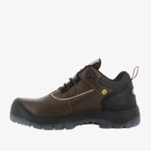 Giày bảo hộ Jogger Pluto EH